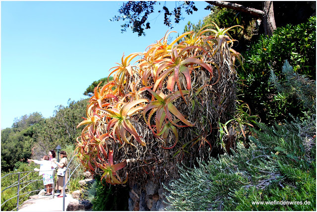 Aussicht la mortella ischia botanischer Garten Forio