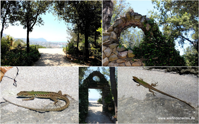 botanischer Garten Forio - Aussicht und Eidechsen la mortella ischia