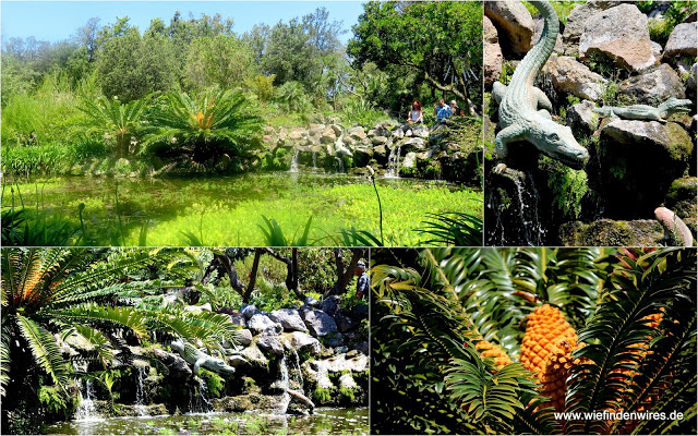 Krokodile am Wasserfall la mortella La Mortella botanischer garten