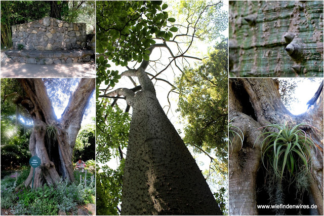 La Mortella Forio Botanischer Garten Ischia