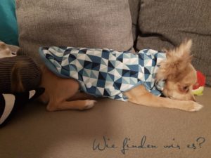 Freebook Tutorial Schnittmuster Jacke Fur Hunde Wir haben hier kostenlose anleitungen für viele verschiedene modelle. freebook tutorial schnittmuster